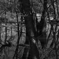 Inundación, río Potomac, Virginia