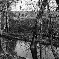 Inundación, río Potomac, Virginia