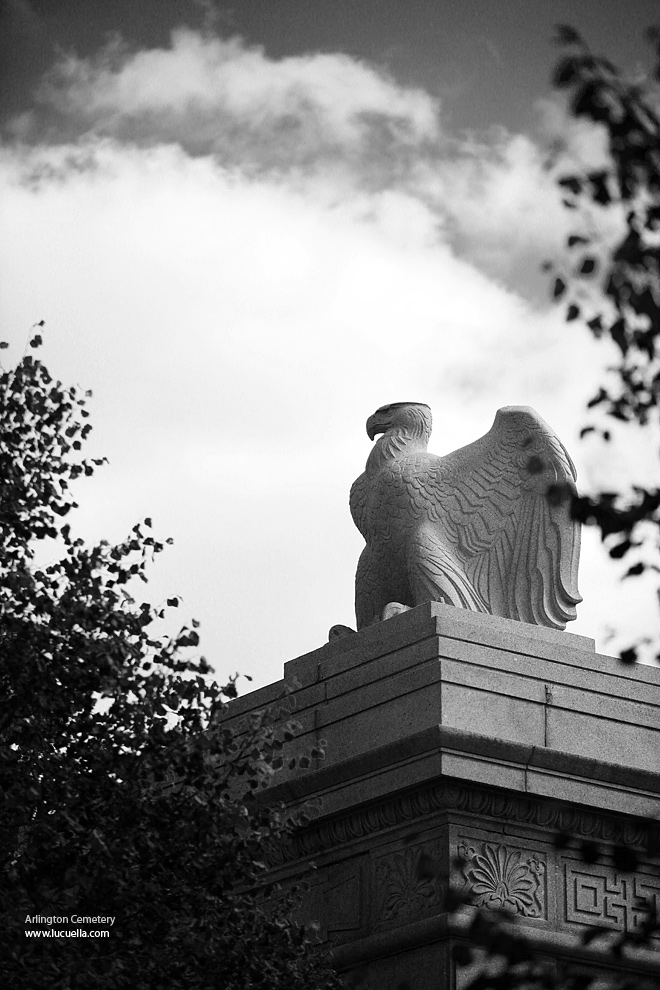 Arlington Cemetery (detail)