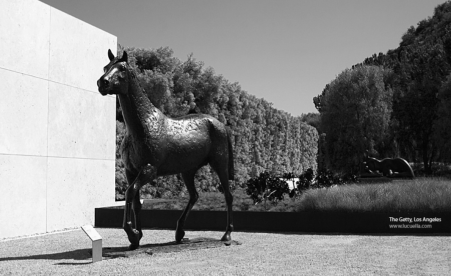 horse elisabeth frink