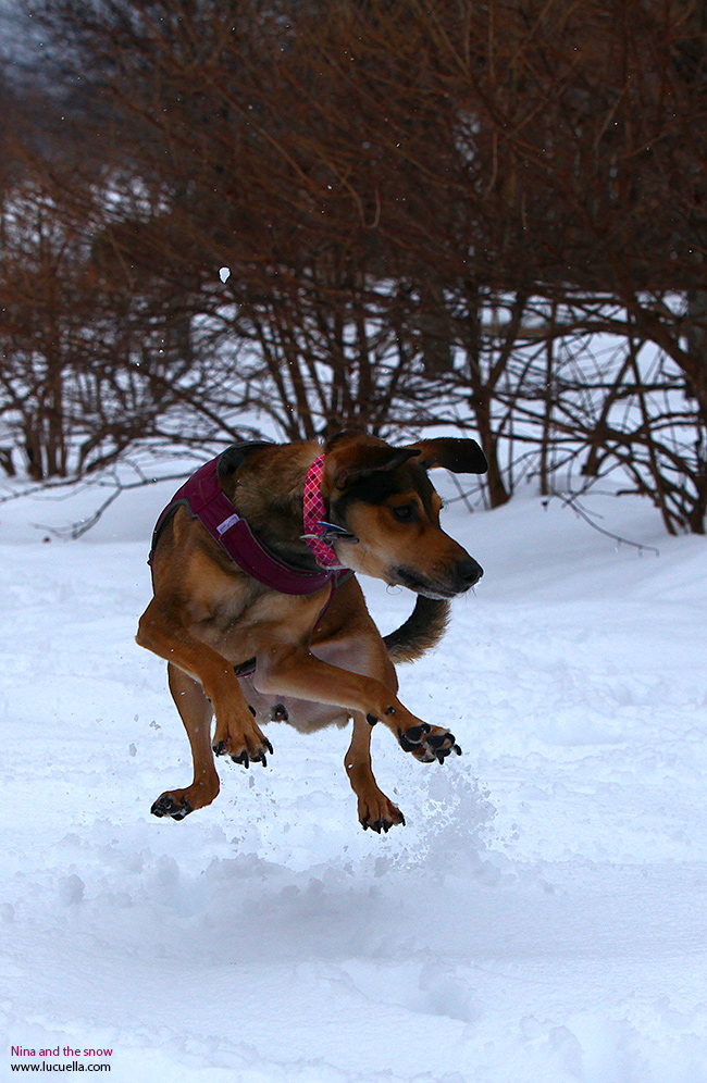 Nina saltando en la nieve