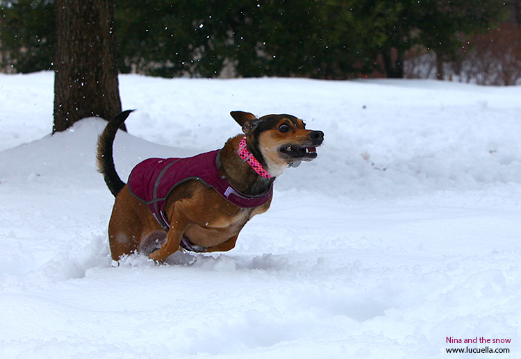 Nina corriendo en la nieve