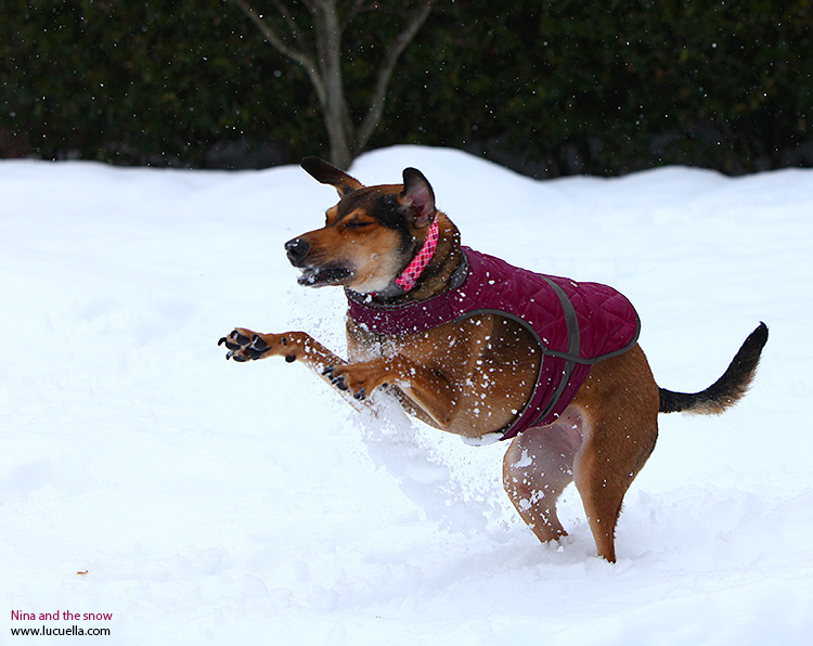 Nina corriendo en la nieve