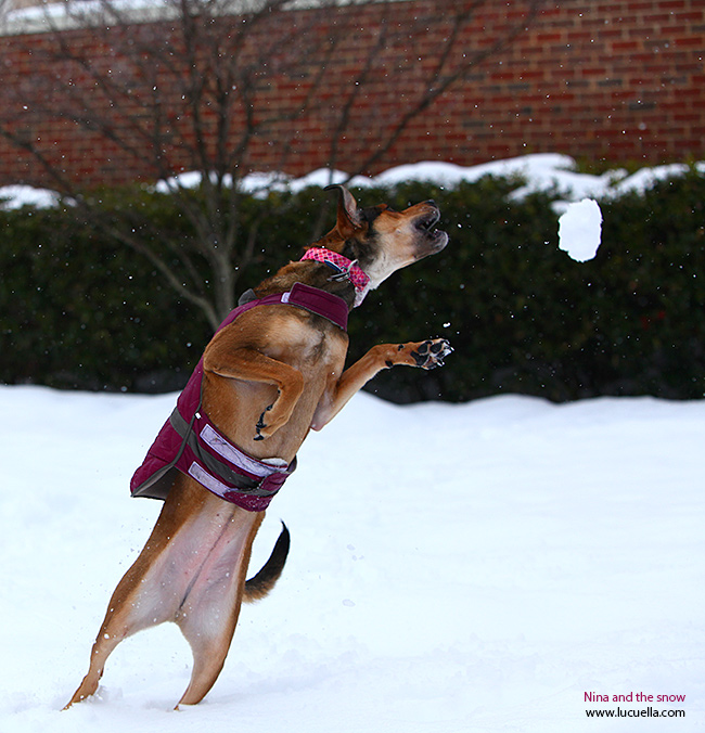 Nina saltando en la nieve
