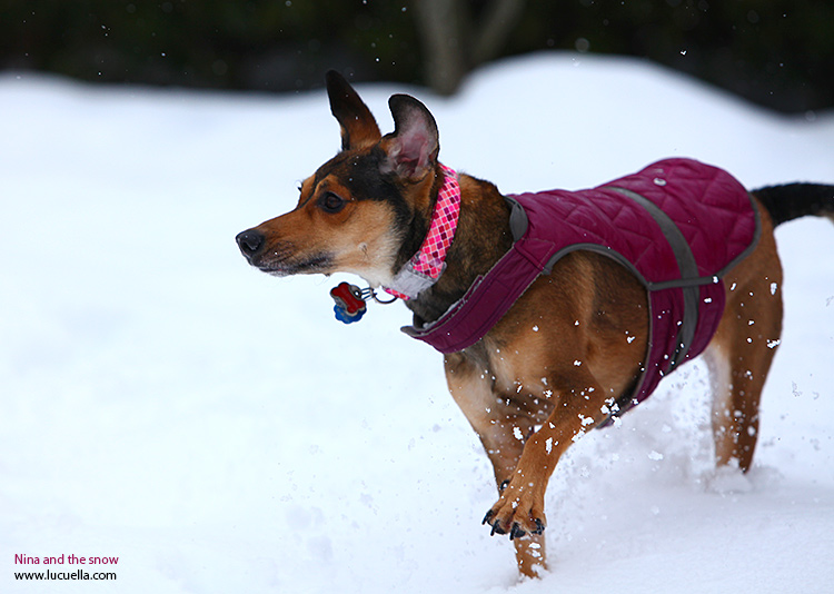 Nina jugando en la nieve