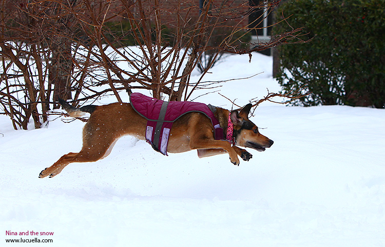 Nina corriendo en la nieve