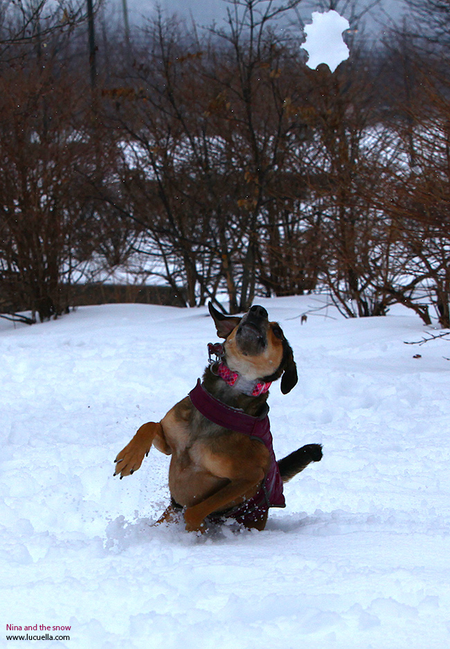 Nina saltando en la nieve