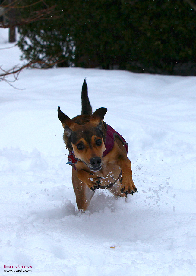 Nina corriendo en la nieve