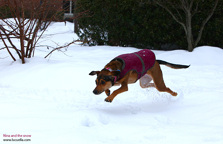 Nina corriendo en la nieve