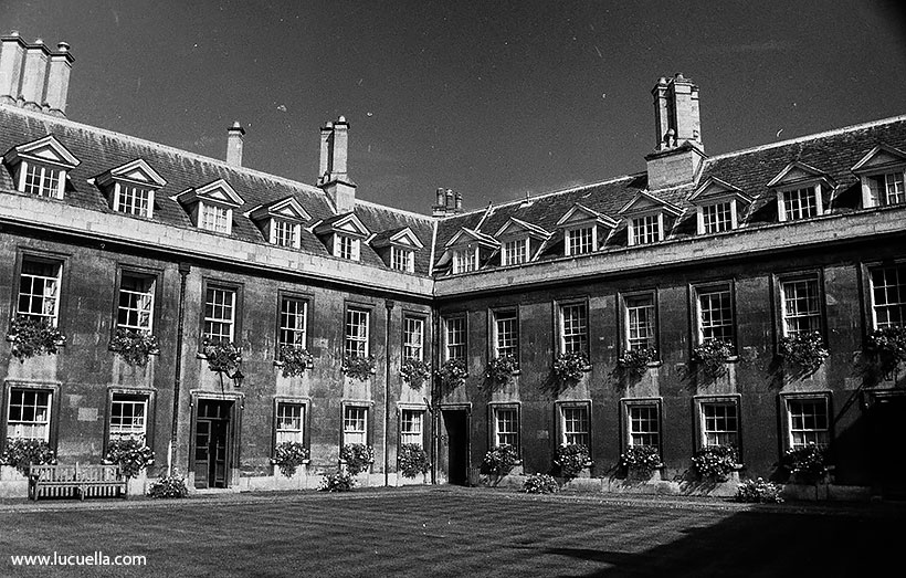 Caius College, Gonville Court