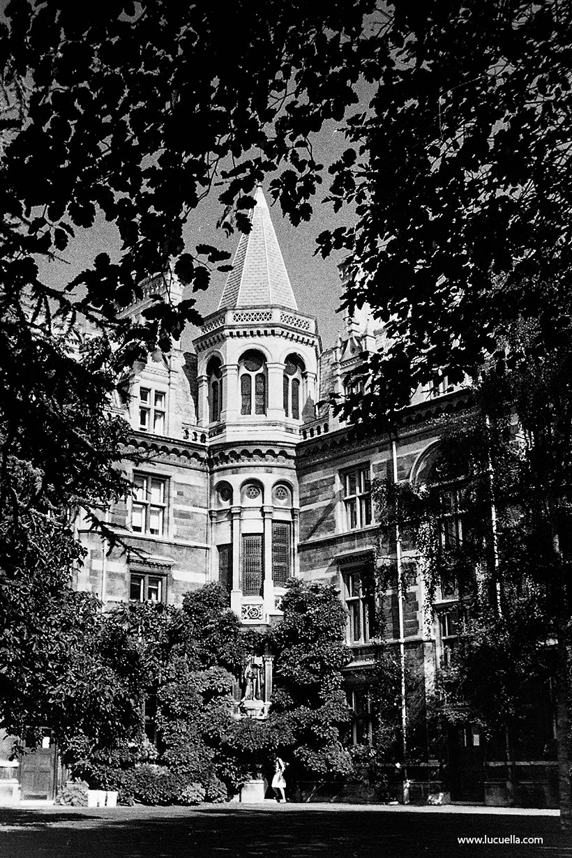 Tree Court at Caius College